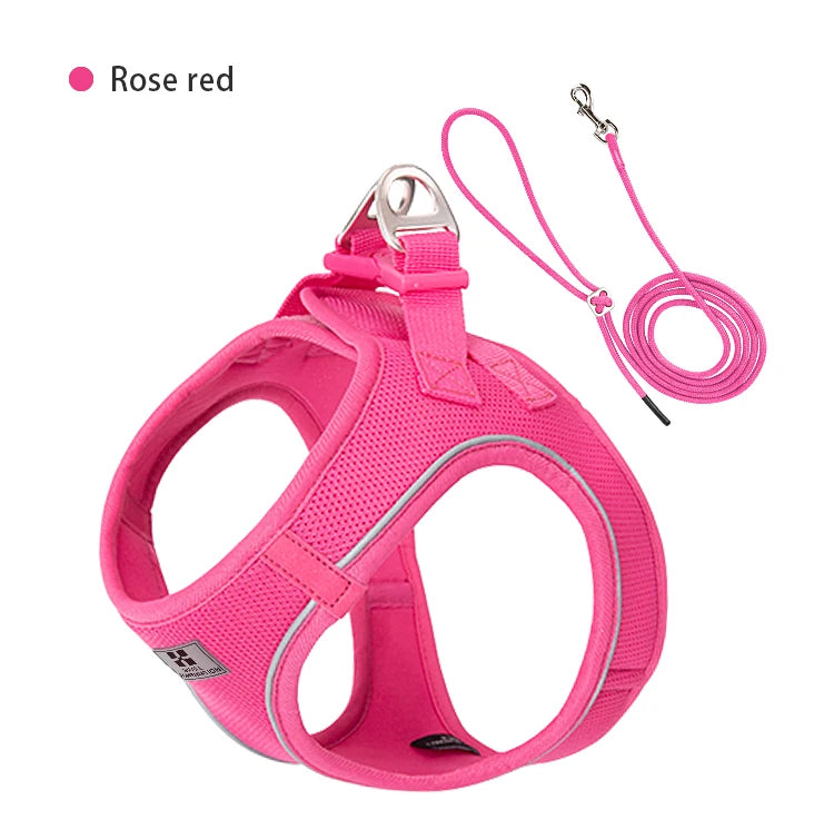 Dog Harness Leash Set for Small to Medium Dog