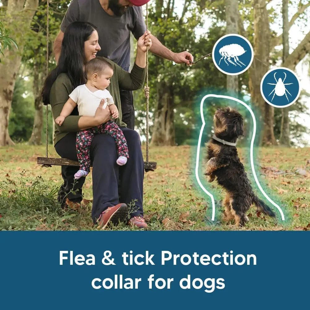 Effective Dog Flea & Tick Collar for Small Dogs
