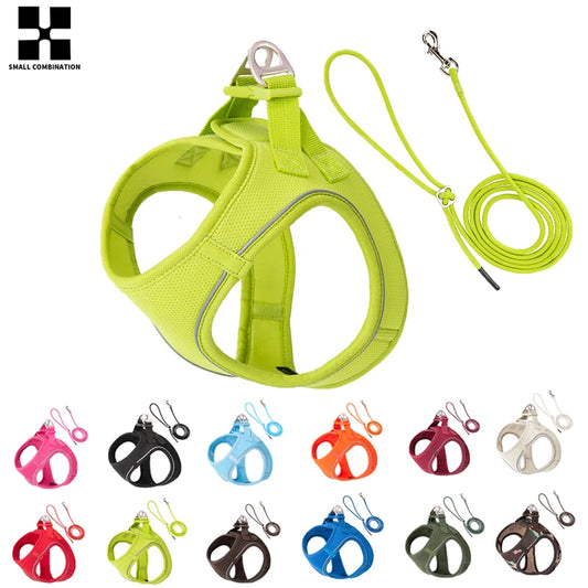 Dog Harness Leash Set for Small to Medium Dog