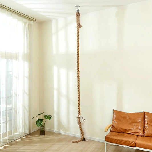 Cat Climbing Rope, Climbing, Scratching, Exercise