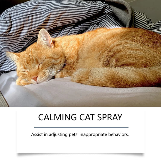Cat Calming Spray, Gentle Formula