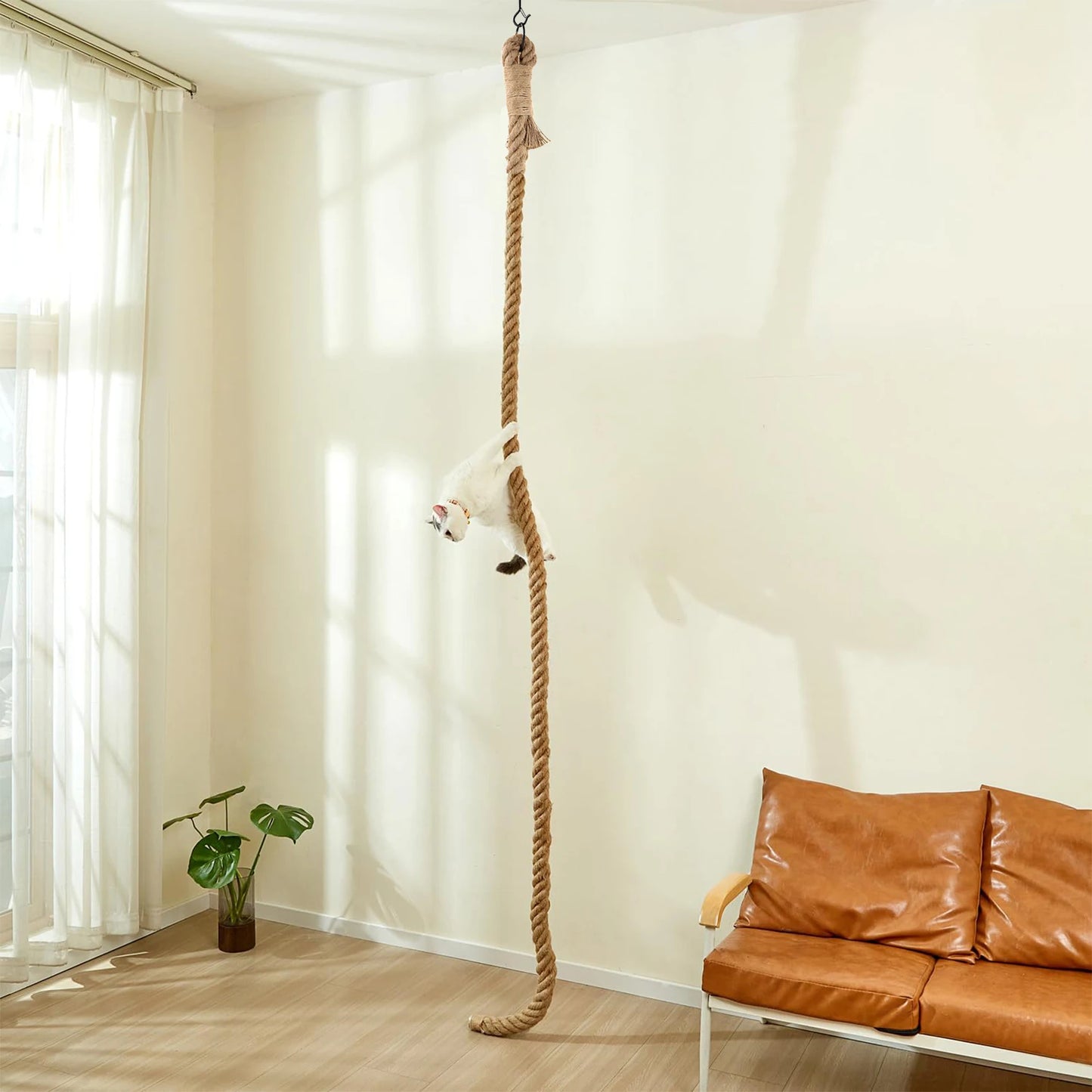 Cat Climbing Rope, Climbing, Scratching, Exercise
