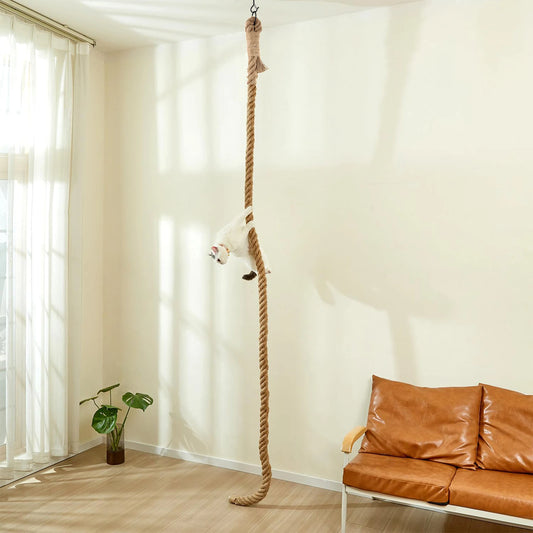 Cat Climbing Rope, Climbing, Scratching, Exercise