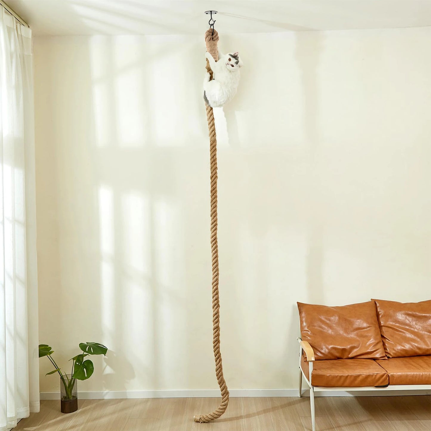Cat Climbing Rope, Climbing, Scratching, Exercise