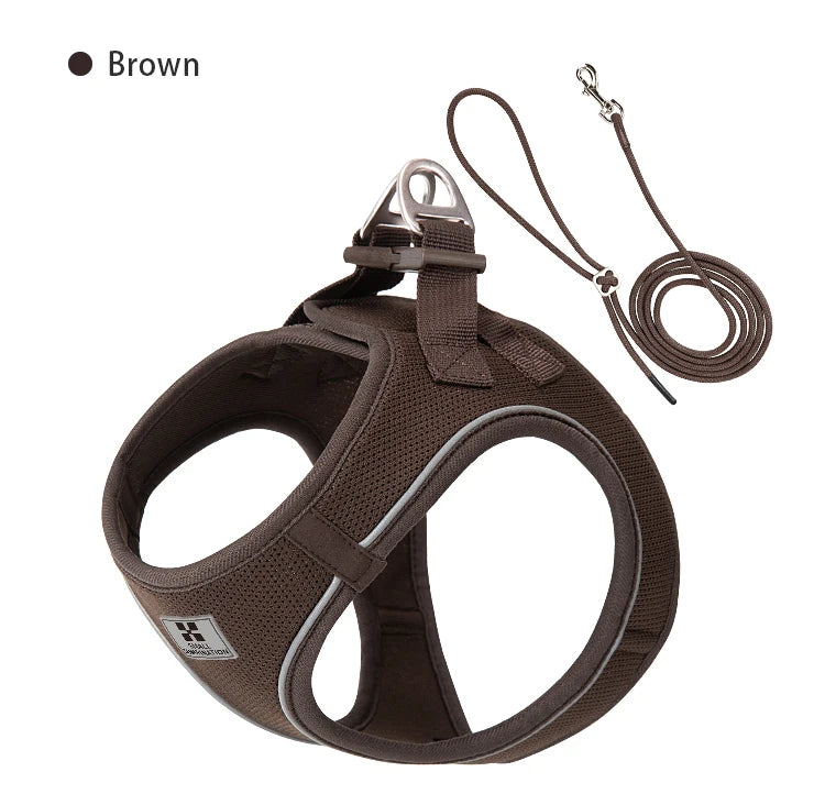 Dog Harness Leash Set for Small to Medium Dog