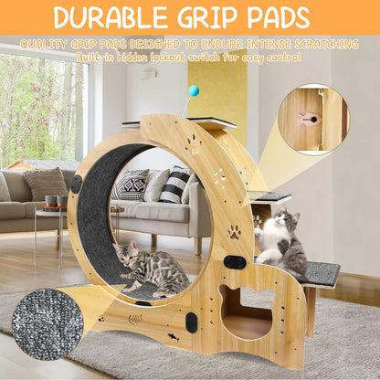 4 In 1 Cat Treadmill With Climbing Ladders and More!