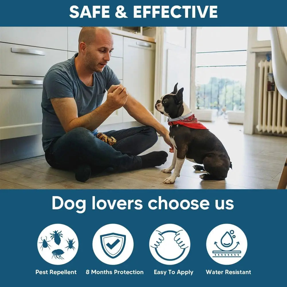 Effective Dog Flea & Tick Collar for Small Dogs
