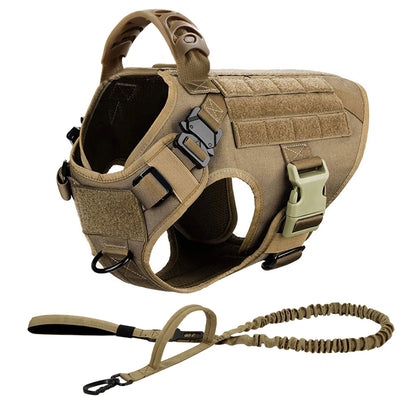 Large Dog Harness/Leash Set Large Dog