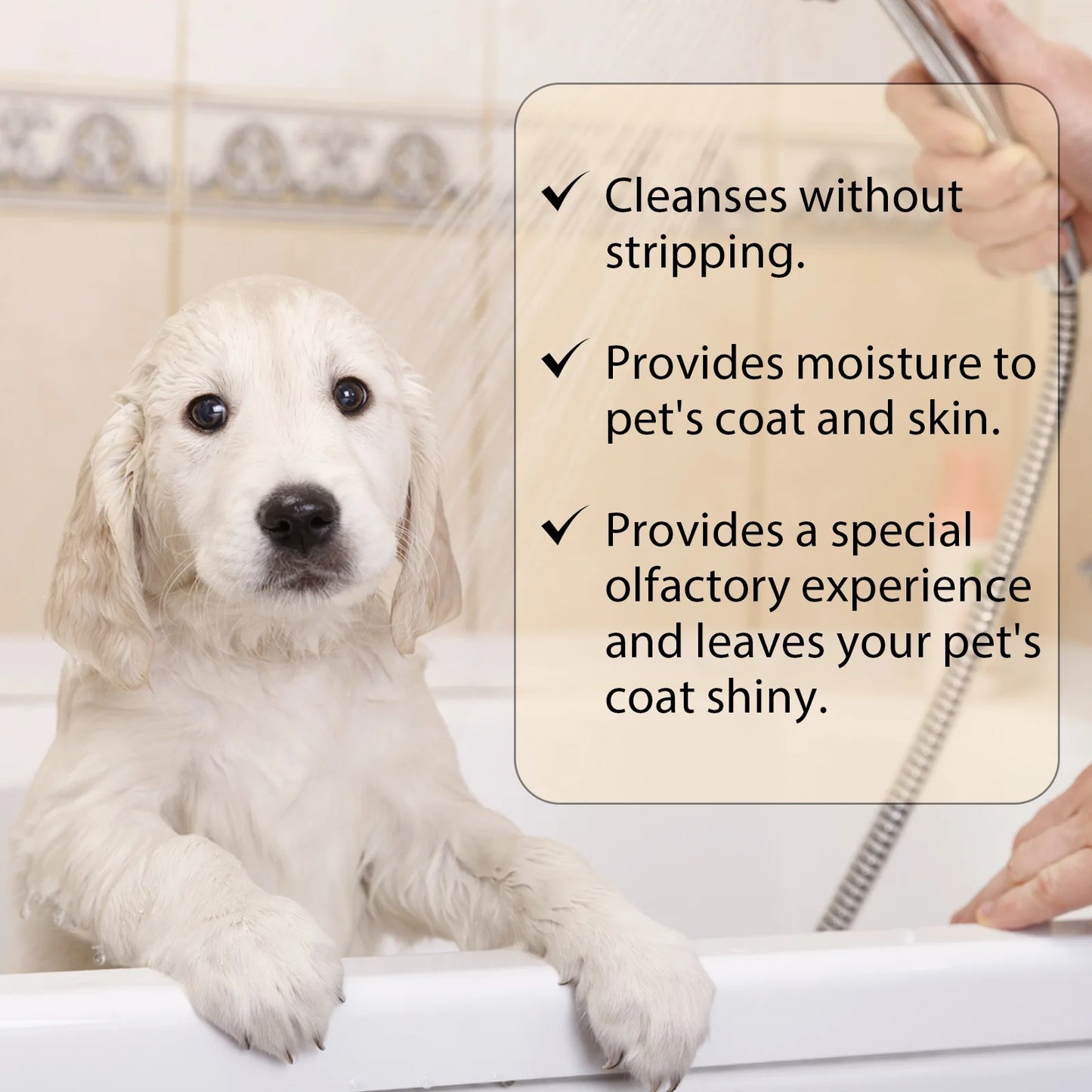 Dog Wash Shampoo: Flea & Mite Killer, Dirt Removal - Anti-Itch, Deodorizing & Moisturizing Formula for Softening Coat
