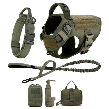 Large Dog Harness/Leash Set Large Dog