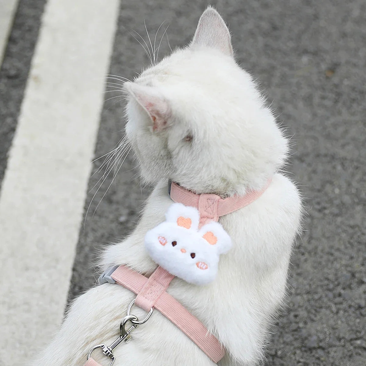 Adjustable Cat Harness and Leash Sets