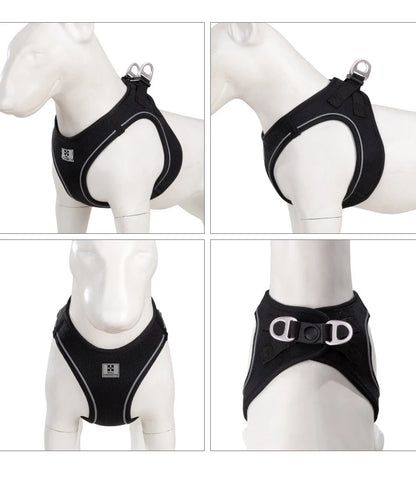 Dog Harness Leash Set for Small to Medium Dog