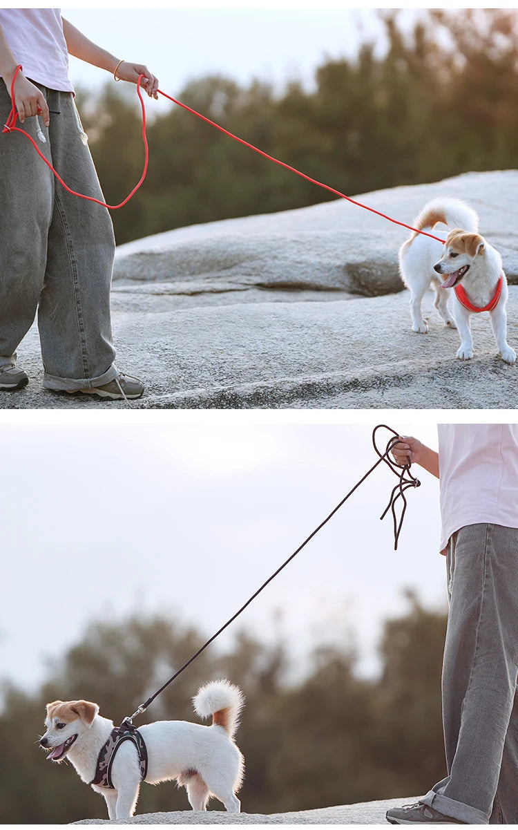 Dog Harness Leash Set for Small to Medium Dog