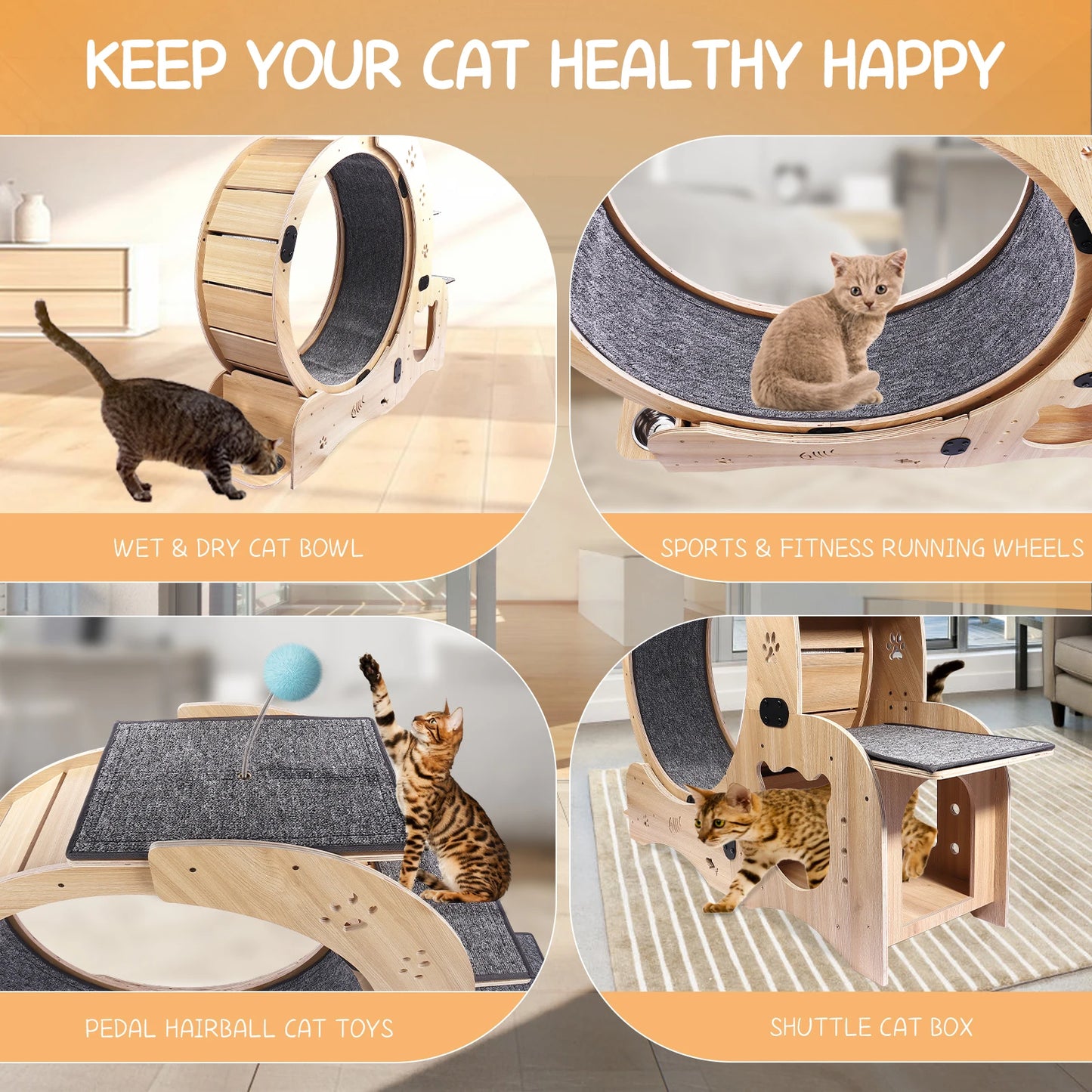 4 In 1 Cat Treadmill With Climbing Ladders and More!