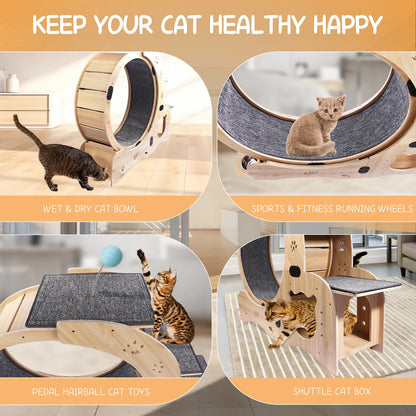 4 In 1 Cat Treadmill With Climbing Ladders and More!