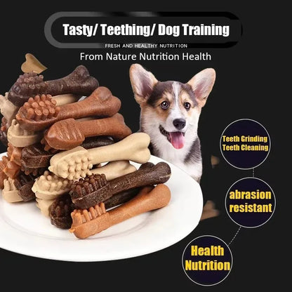 Dog Bruxism Stick Toothbrush Snack, Bone Shape