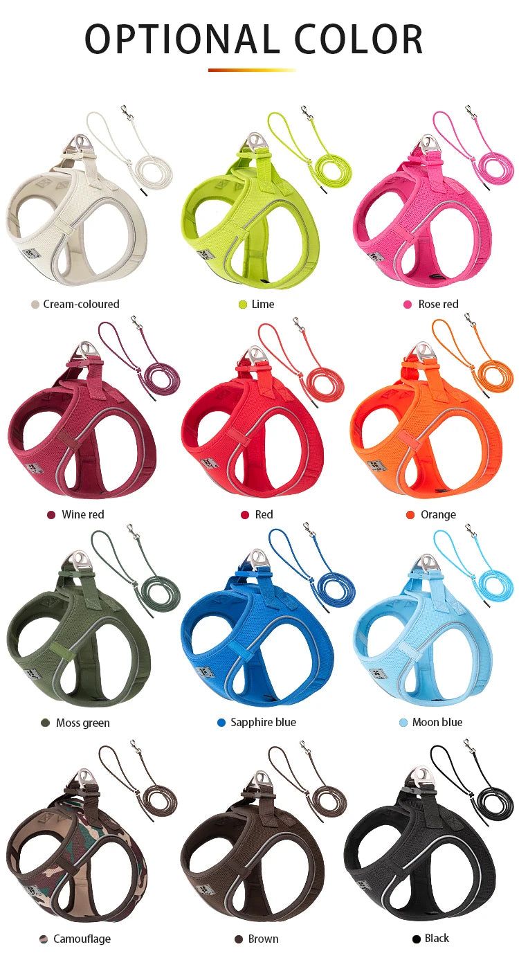 Dog Harness Leash Set for Small to Medium Dog