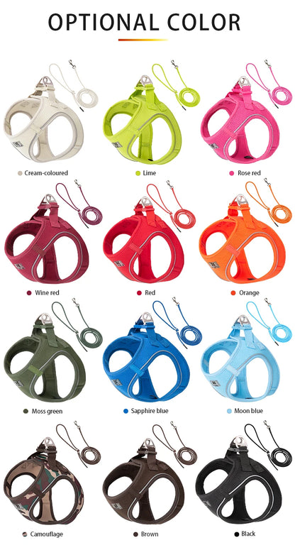 Dog Harness Leash Set for Small to Medium Dog