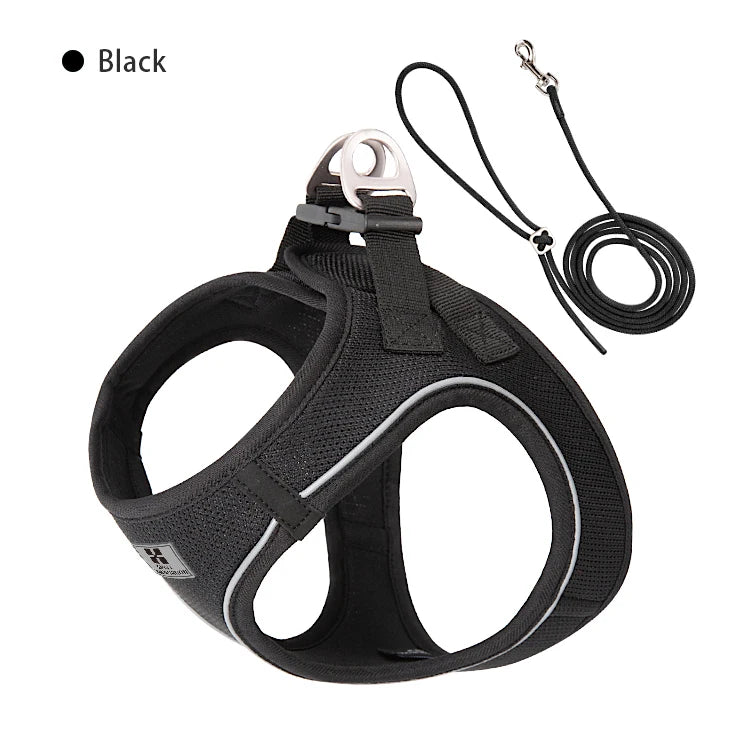 Dog Harness Leash Set for Small to Medium Dog