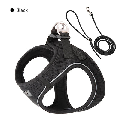Dog Harness Leash Set for Small to Medium Dog