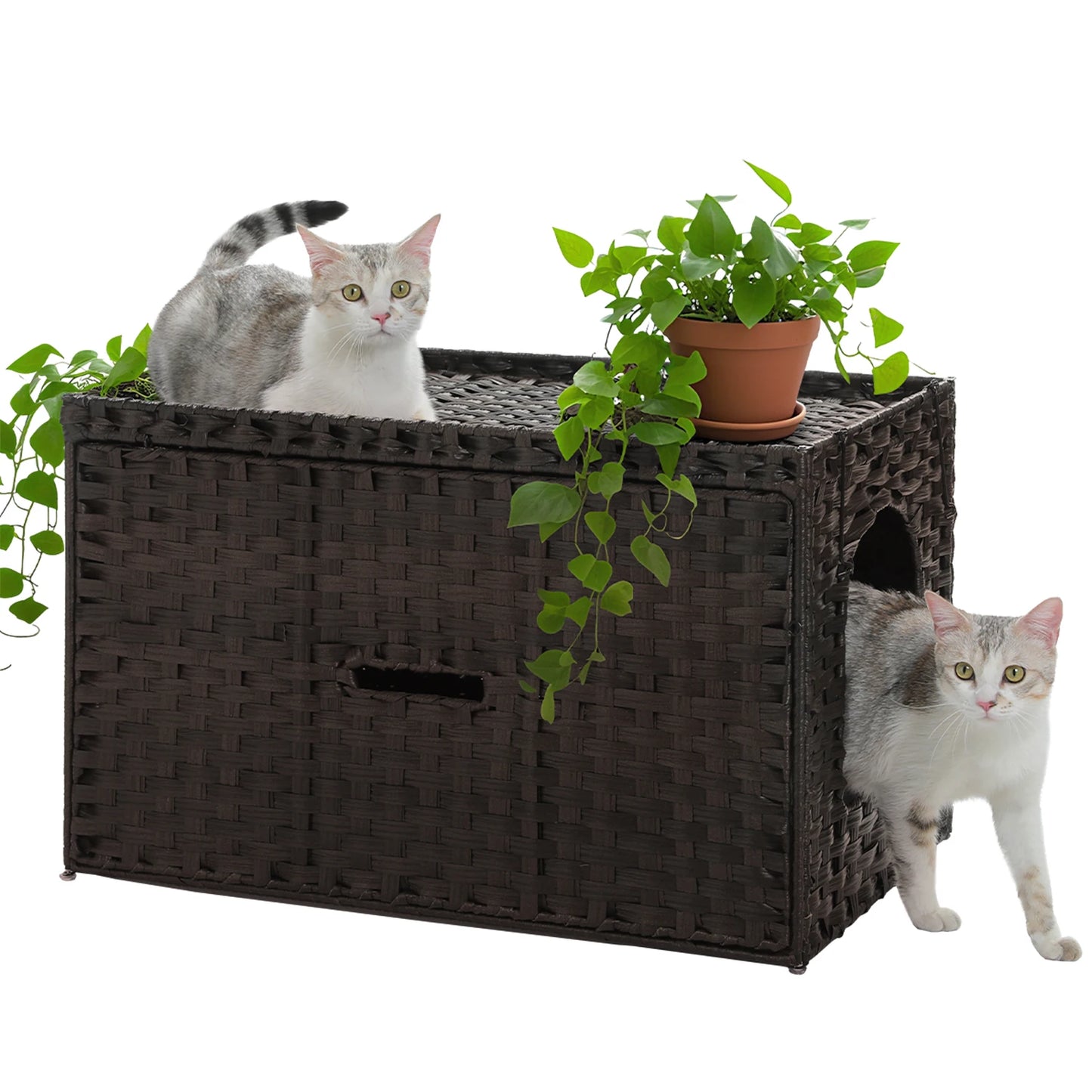 Rattan Litter Box Enclosure, Furniture with Door