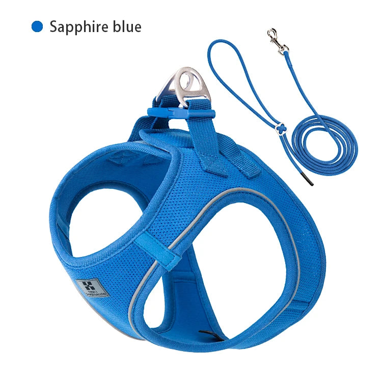 Dog Harness Leash Set for Small to Medium Dog