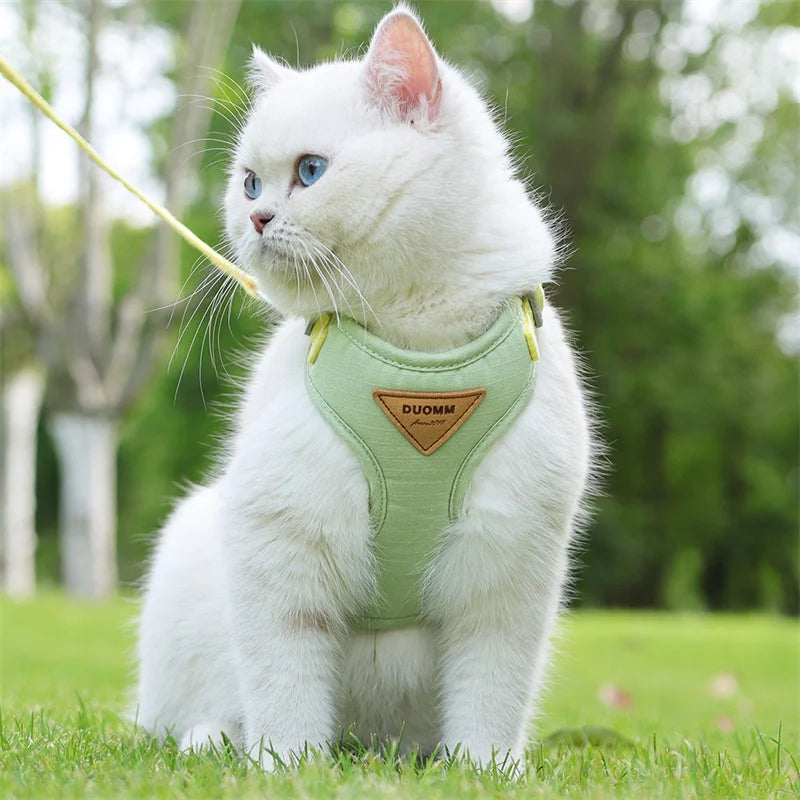 Fashion Pet Harness/Leash Set for Small Dogs, Cats