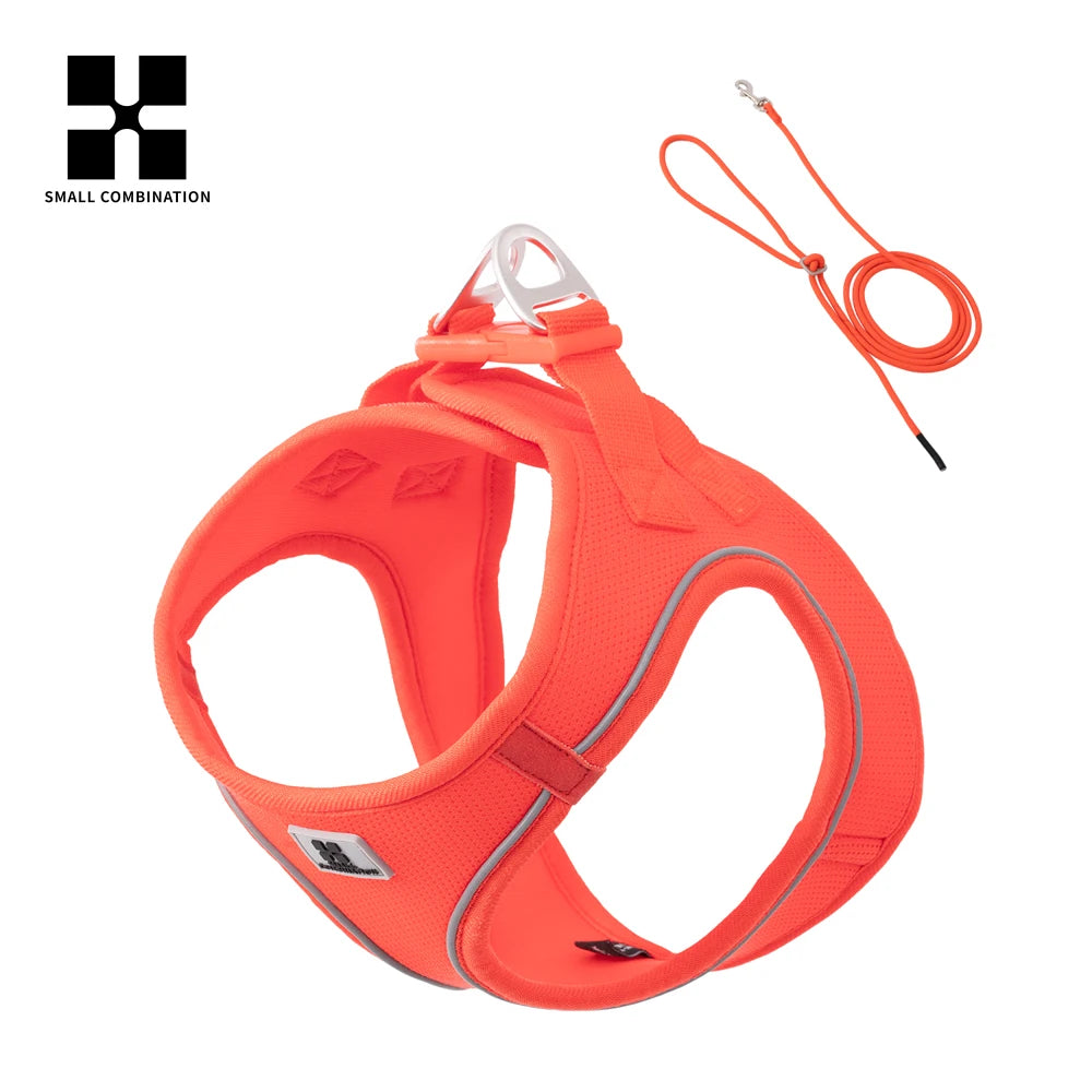 Dog Harness Leash Set for Small to Medium Dog