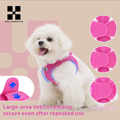 Dog Harness Leash Set for Small to Medium Dog