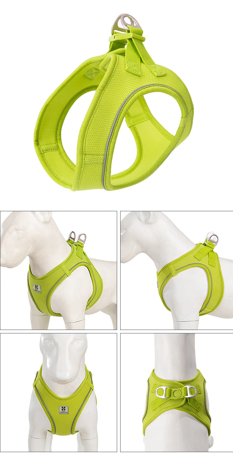 Dog Harness Leash Set for Small to Medium Dog