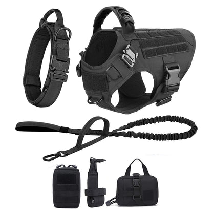 Large Dog Harness/Leash Set Large Dog