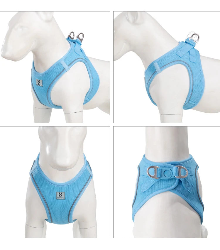 Dog Harness Leash Set for Small to Medium Dog