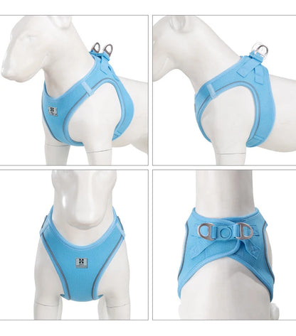 Dog Harness Leash Set for Small to Medium Dog