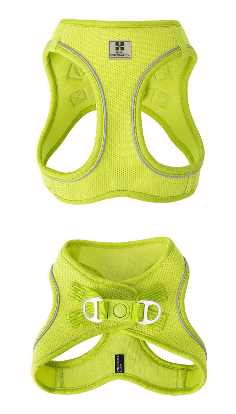 Dog Harness Leash Set for Small to Medium Dog