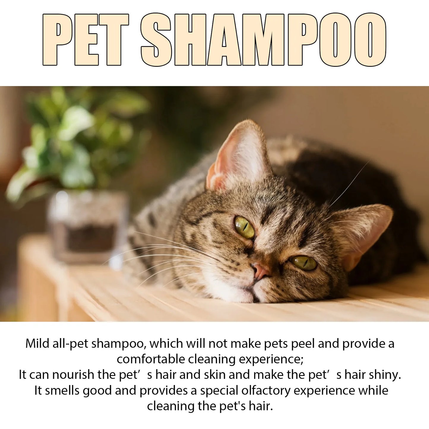 Dog Wash Shampoo: Flea & Mite Killer, Dirt Removal - Anti-Itch, Deodorizing & Moisturizing Formula for Softening Coat