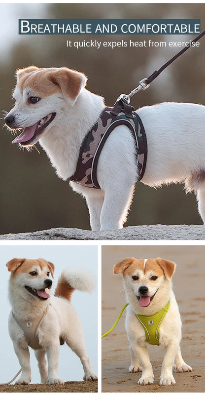 Dog Harness Leash Set for Small to Medium Dog