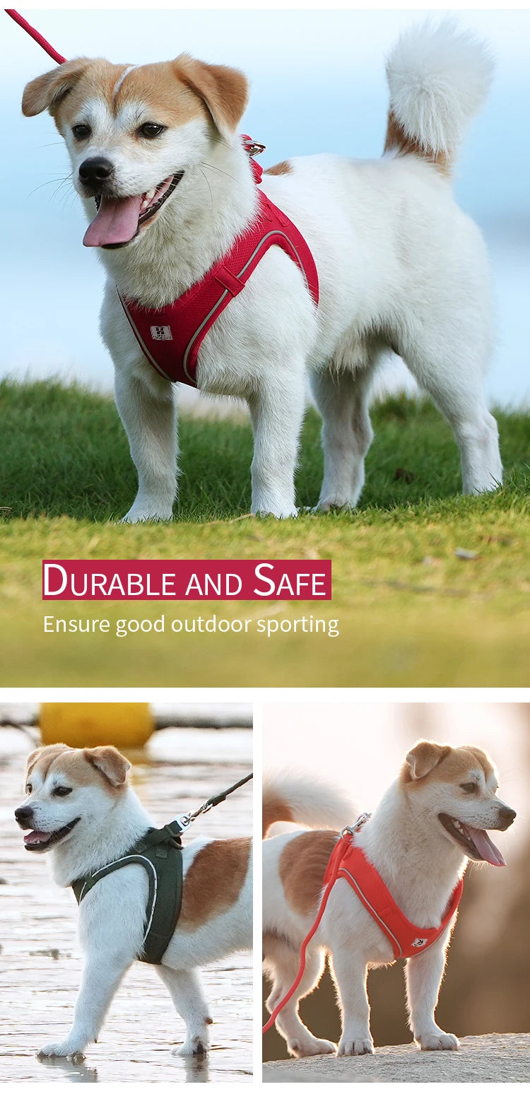 Dog Harness Leash Set for Small to Medium Dog