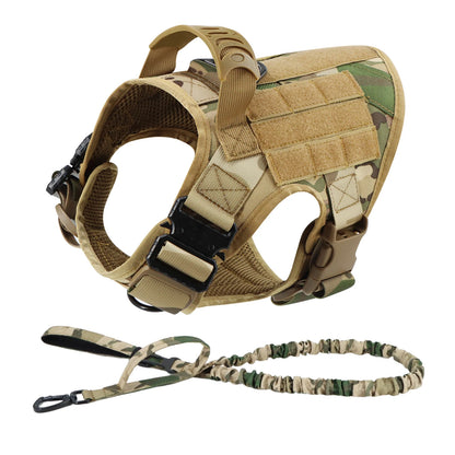 Large Dog Harness/Leash Set Large Dog