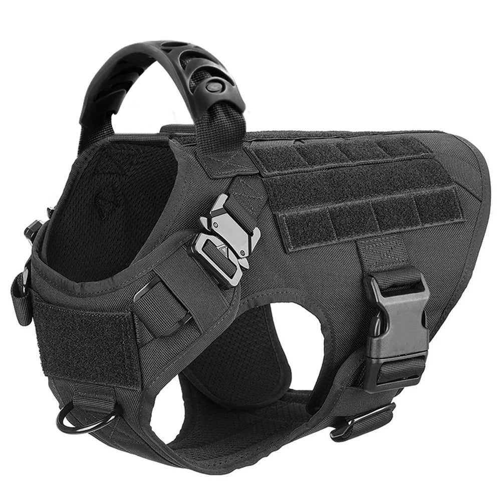Large Dog Harness/Leash Set Large Dog
