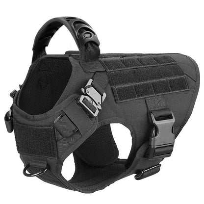 Large Dog Harness/Leash Set Large Dog