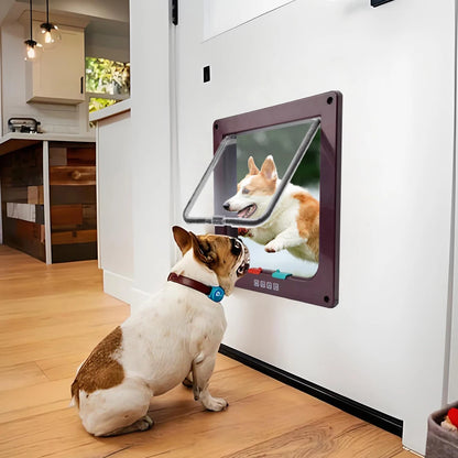 Cat, Dog, Puppy, Outside Door, Security Lock, Safety