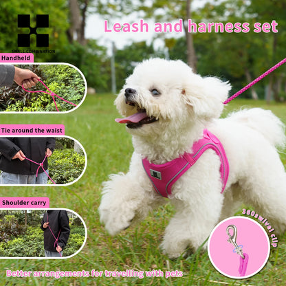 Dog Harness Leash Set for Small to Medium Dog