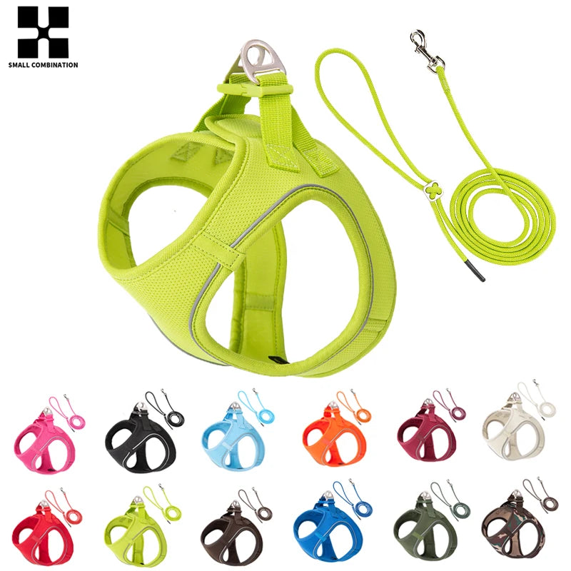 Dog Harness Leash Set for Small to Medium Dog