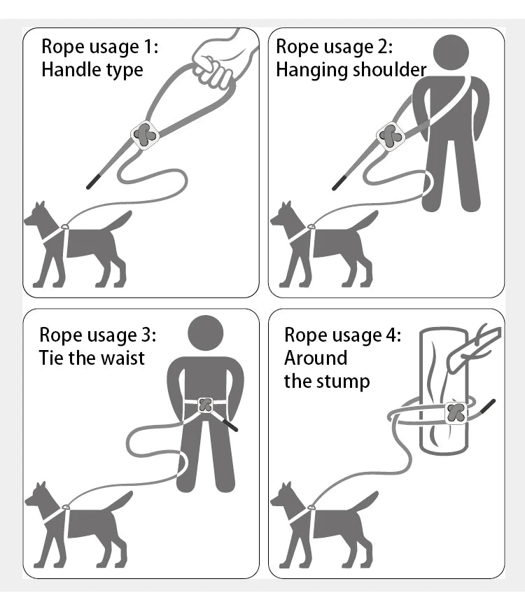 Dog Harness Leash Set for Small to Medium Dog