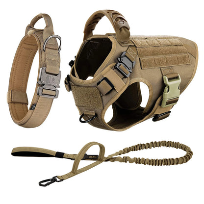 Large Dog Harness/Leash Set Large Dog
