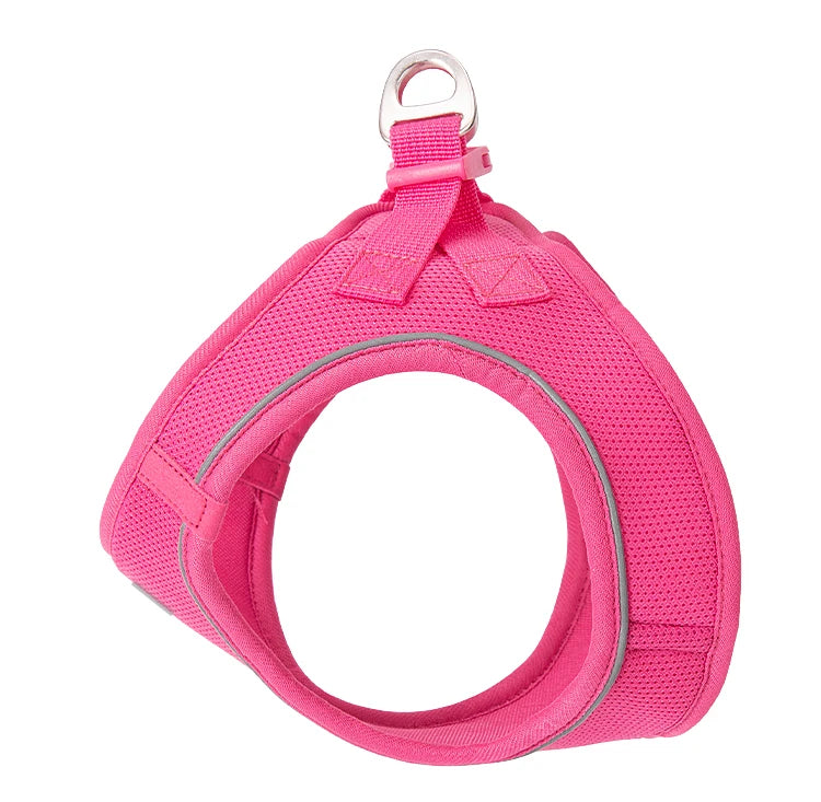 Dog Harness Leash Set for Small to Medium Dog