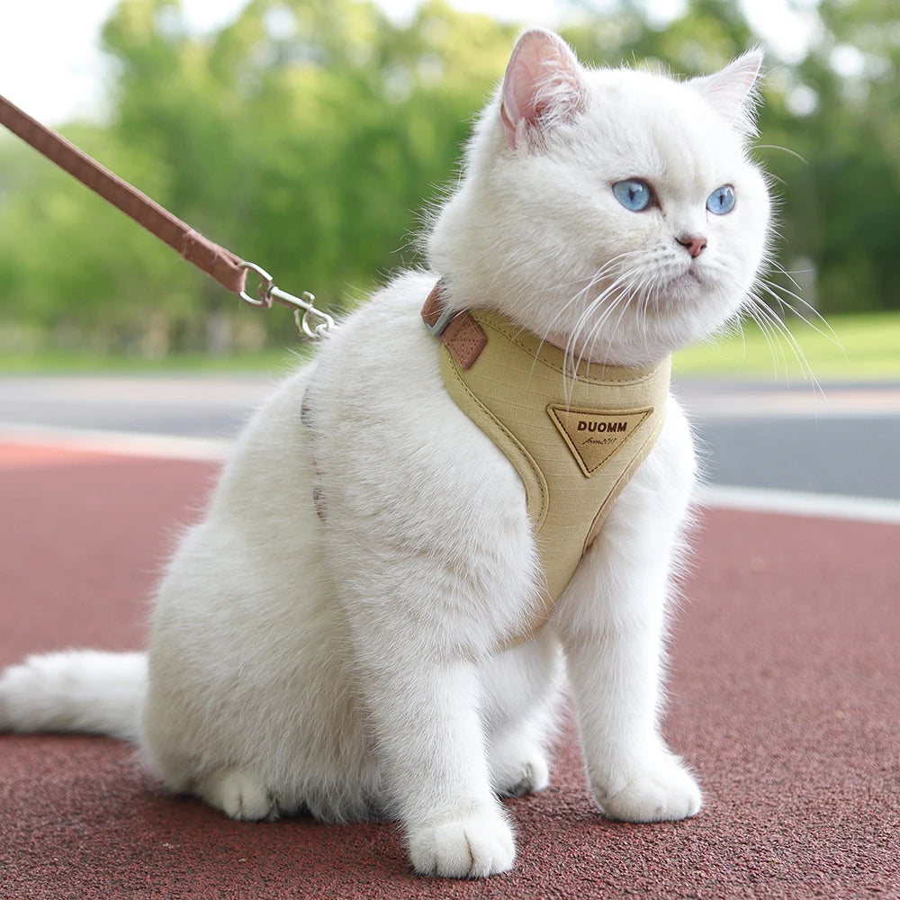 Fashion Pet Harness/Leash Set for Small Dogs, Cats