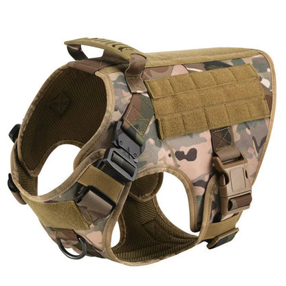 Large Dog Harness/Leash Set Large Dog