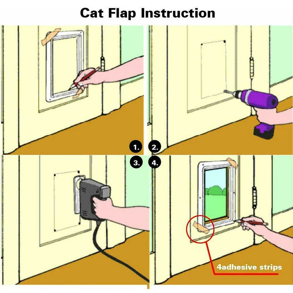 Cat, Dog, Puppy, Outside Door, Security Lock, Safety