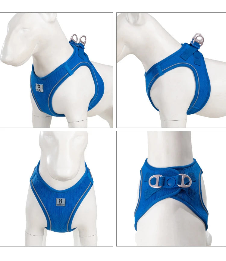 Dog Harness Leash Set for Small to Medium Dog